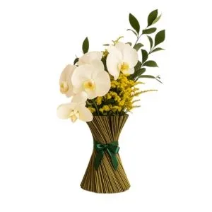 Arranjo de Orquídea Phale com Tango