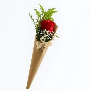 Botão de Rosa no Kraft
