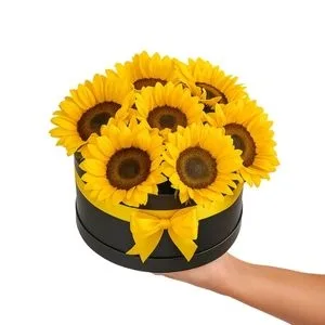 Box de Girassol