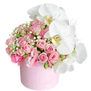 Box de Rosas com Orquidea