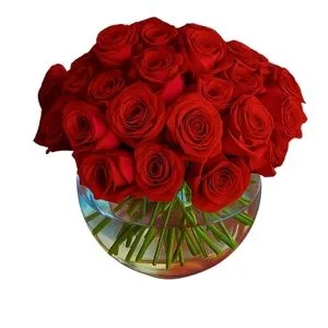 Cúpula de Rosas