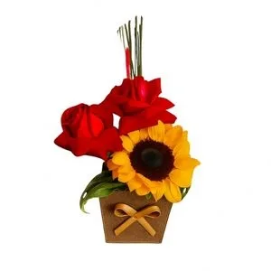 Duas Rosas e um Girassol no vaso