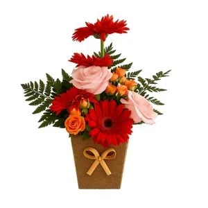 Mix de Rosas com Gérberas no Cachepô