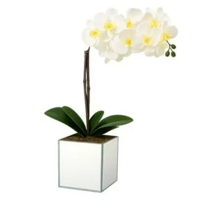Orquidea Phalaenopsis BRANCA Cachepô Espelhado