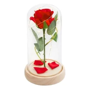 Rosa Encantada