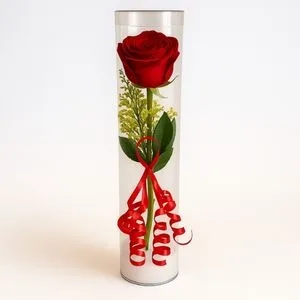 Rosa no Tubo