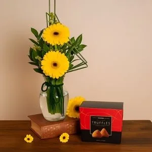Gérberas em Vaso com Trufas