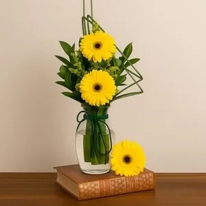 Gérberas em Vaso