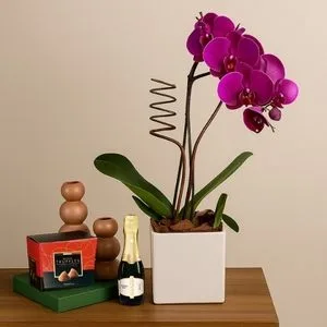 kit Bella - Pink