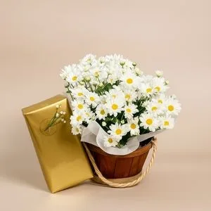 Margaridinha Plantada com Bombom