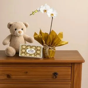 Orquídea Branca para Presente com Ferrero Rocher e Pelúcia