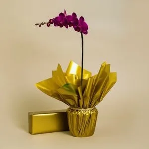 Orquídea lilás com Bombons