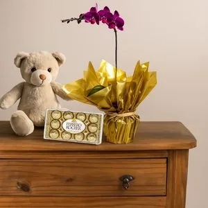 Orquídea Lilás para Presente com Ferrero Rocher e Pelúcia