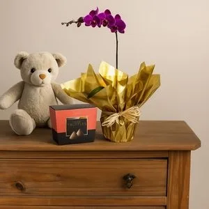 Orquídea Lilás para Presente com Trufa Belga e Pelúcia