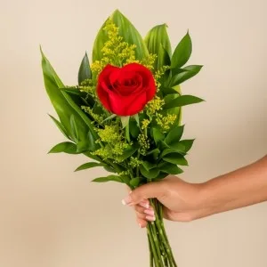 Rosa Solitária para Presente