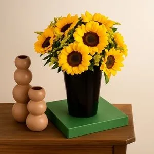 Sol