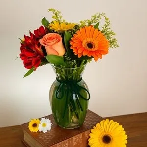 Vaso Um sonho