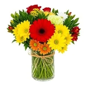 Arranjo de Flores do Campo Amarelo e Vermelho