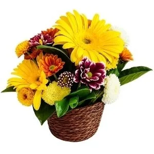 Arranjo de Flores do Campo com Gérberas