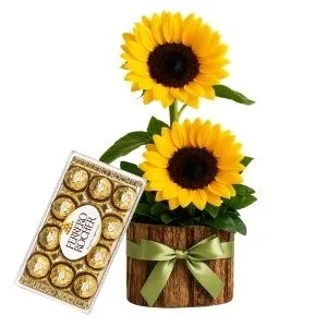 Arranjo de Girassól com Chocolate