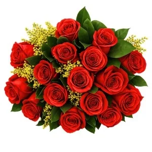 Buquê de 17 Rosas Vermelhas