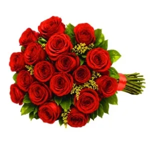 Buquê de 20 Rosas Vermelhas