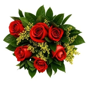 Buquê de 6 Rosas vermelhas