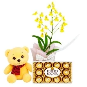 Orquídea Chuva de Ouro com Ferrero Rocher e Pelúcia