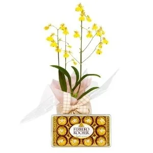 Orquídea Chuva de Ouro com Ferrero Rocher