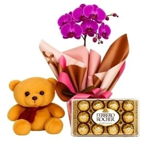 Orquídea Phalaenopsis Pink com Chocolate e Pelúcia