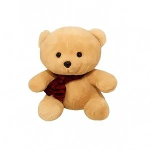 Urso Médio