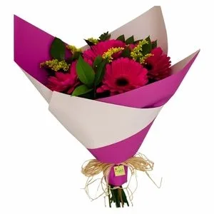 Buquê de 6 Gérberas Pink