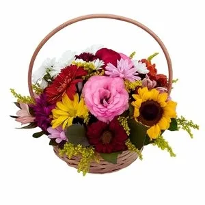 Cesta Beleza Colorida com Girassol