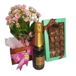 Kit Chandon Baby