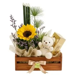 Kit Girassol, Ferrero Rocher e Pelúcia