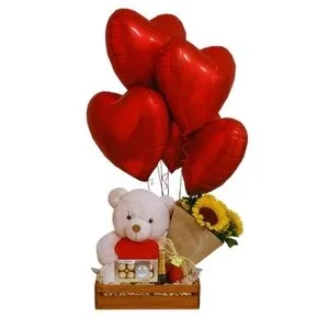 Kit Urso Mimoso