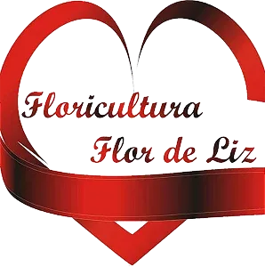 Logo da vitrine Floricultura Flor de Liz