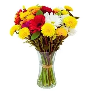 Amor de Flores do Campo no Vidro