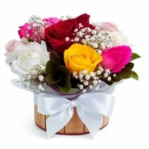 Box 12 Rosas Coloridas
