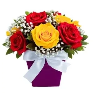 Box Charming Duas Cores