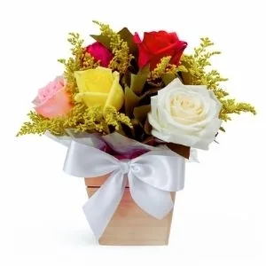 Box Charming Rosas Coloridas