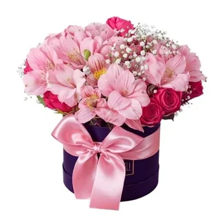 Box Splendid Pink