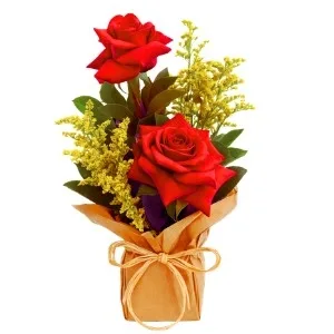 Box Sweet Double Red Roses Celofane