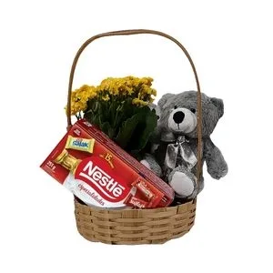 Cesta Com Amor e Carinho