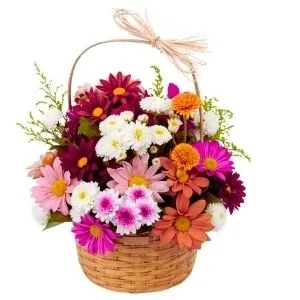 Cesta de Flores do Campo
