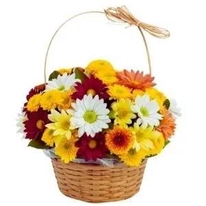 Cesta Tropical Flowers