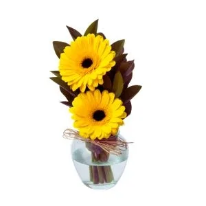 Duplo Amor de Gerberas no Vidro