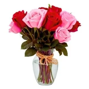 Explosão de Amor de 12 Rosas Vermelhas e Rosas no Vidro