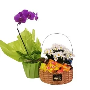 Kit Café da Manhã com Orquídea