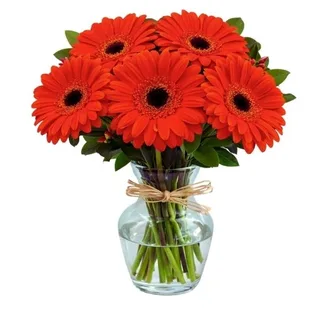 Love Gerberas Laranjas no Vidro